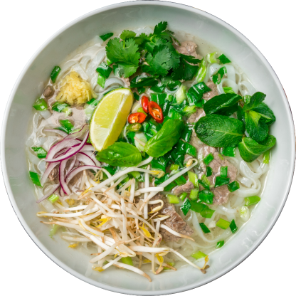 Chicken Noodle Salad Bowl