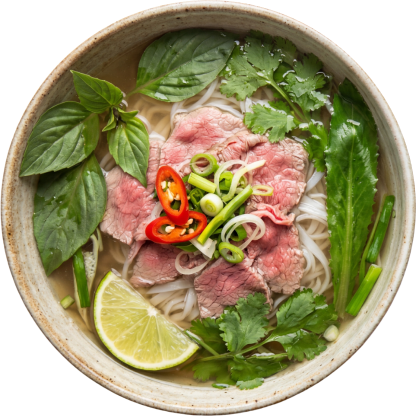 Duck Noodle Soup